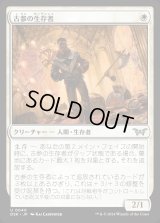 古参の生存者/Veteran Survivor