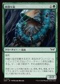 肉潜り虫/Flesh Burrower