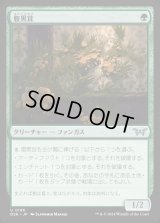 腹黒茸/Insidious Fungus