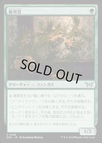 腹黒茸/Insidious Fungus
