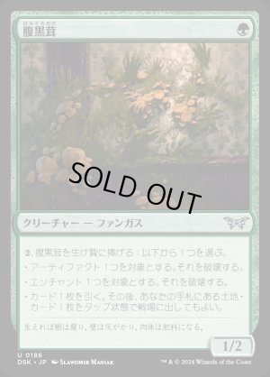 画像1: 腹黒茸/Insidious Fungus