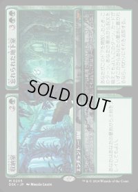 収納室+忘れられた地下室/Walk-In Closet+Forgotten Cellar
