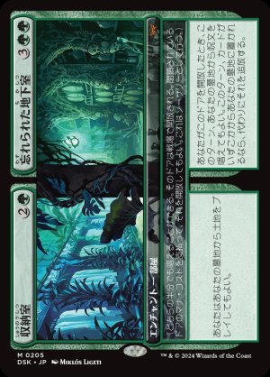 画像1: 収納室+忘れられた地下室/Walk-In Closet+Forgotten Cellar