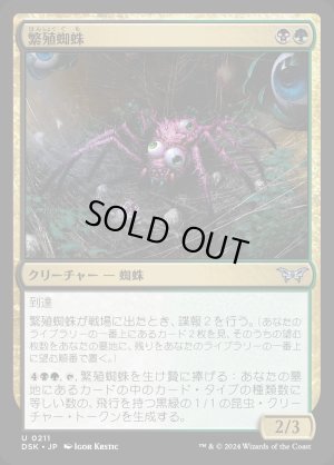 画像1: 繁殖蜘蛛/Broodspinner