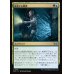 画像1: 成長する戦慄/Growing Dread (1)