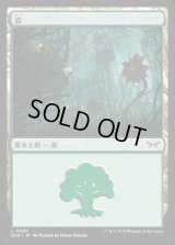 森/Forest