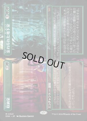 画像1: 収納室+忘れられた地下室/Walk-In Closet+Forgotten Cellar