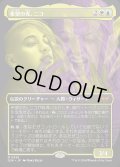 希望の光、ニコ/Niko, Light of Hope
