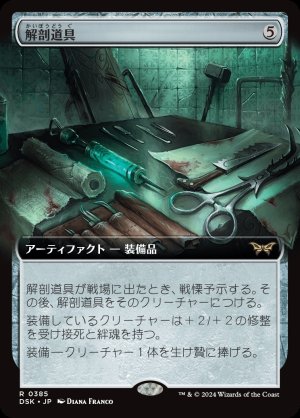 画像1: 解剖道具/Dissection Tools