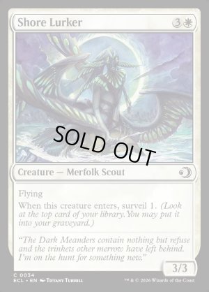 画像2: 海辺潜み/Shore Lurker