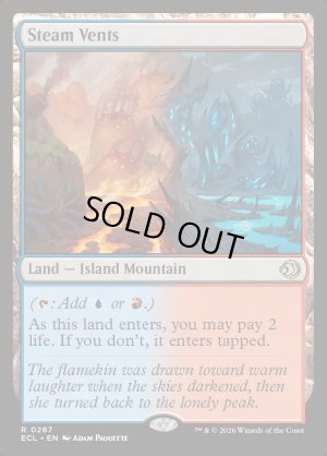 画像2: 蒸気孔/Steam Vents