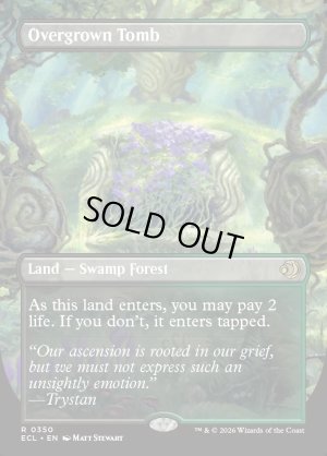 画像3: 草むした墓/Overgrown Tomb