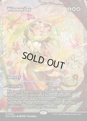 画像2: 篩い飛ばし/Winnowing