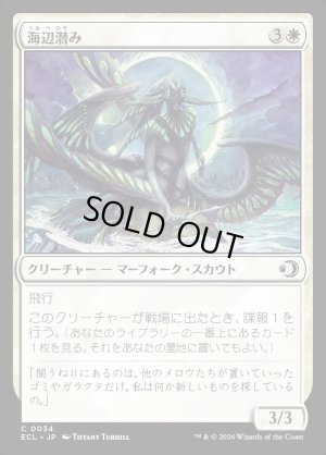 画像1: 海辺潜み/Shore Lurker