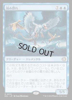 画像1: 刻み群れ/Sunderflock