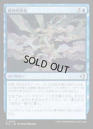 画像1: 経時的浄化/Temporal Cleansing