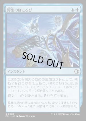 画像1: 野生のほころび/Wild Unraveling