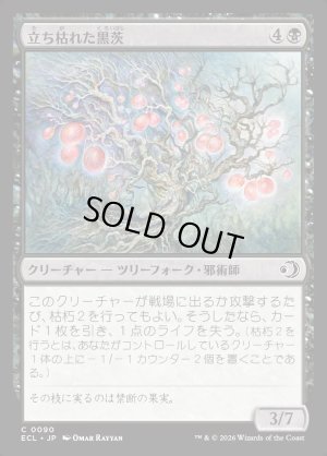 画像1: 立ち枯れた黒茨/Blighted Blackthorn