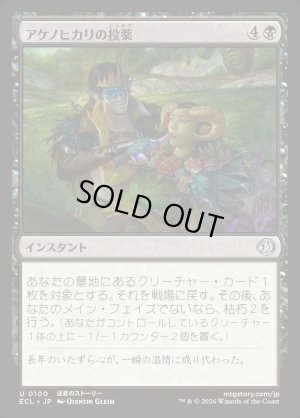 画像1: アケノヒカリの投薬/Dose of Dawnglow