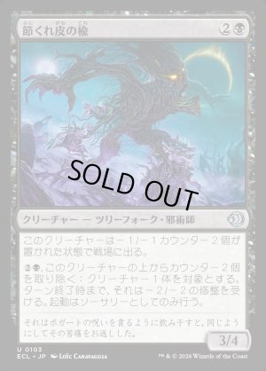 画像1: 節くれ皮の楡/Gnarlbark Elm