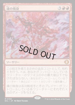 画像1: 魂の焼身/Soul Immolation