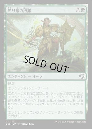 画像1: 光り葉の抱擁/Gilt-Leaf's Embrace