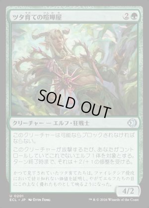 画像1: ツタ育ての喧嘩屋/Vinebred Brawler