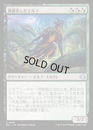 画像1: 蝕甚化したエルフ/Eclipsed Elf