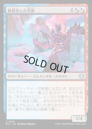 画像1: 蝕甚化した炎族/Eclipsed Flamekin