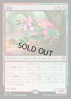 画像1: 鮮麗/Vibrance