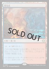 蒸気孔/Steam Vents