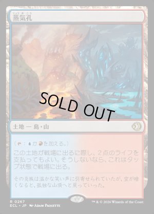 画像1: 蒸気孔/Steam Vents