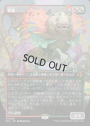 画像1: 鮮麗/Vibrance