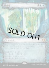 鏡変化/Mirrorform