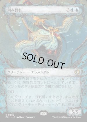 画像1: 刻み群れ/Sunderflock