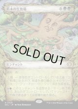 若木の生育場/Sapling Nursery