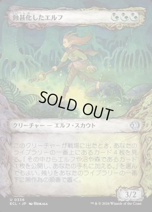 画像1: 蝕甚化したエルフ/Eclipsed Elf