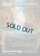 神聖なる泉/Hallowed Fountain