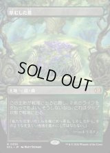 草むした墓/Overgrown Tomb