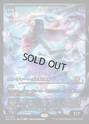 画像1: 月影/Moonshadow