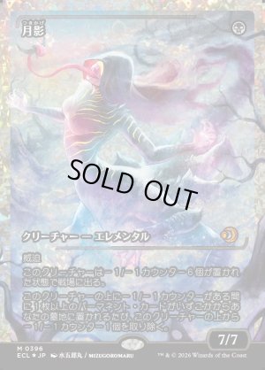 画像1: 月影/Moonshadow