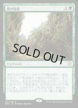 森の知恵/Sylvan Library