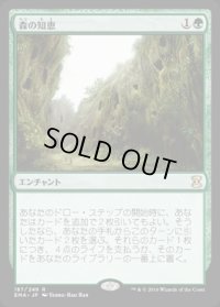 森の知恵/Sylvan Library