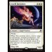 画像2: アステッリの回収者/Astelli Reclaimer (2)