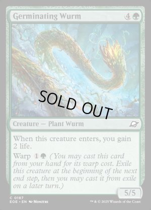 画像2: 発芽するワーム/Germinating Wurm