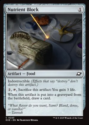 画像2: ブロック型栄養食/Nutrient Block