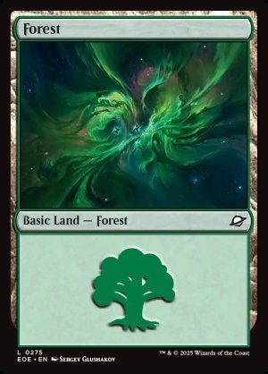 画像2: 森/Forest