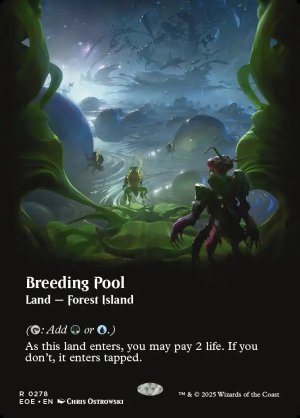 画像2: 繁殖池/Breeding Pool