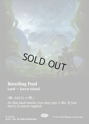画像2: 繁殖池/Breeding Pool