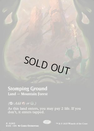 画像2: 踏み鳴らされる地/Stomping Ground